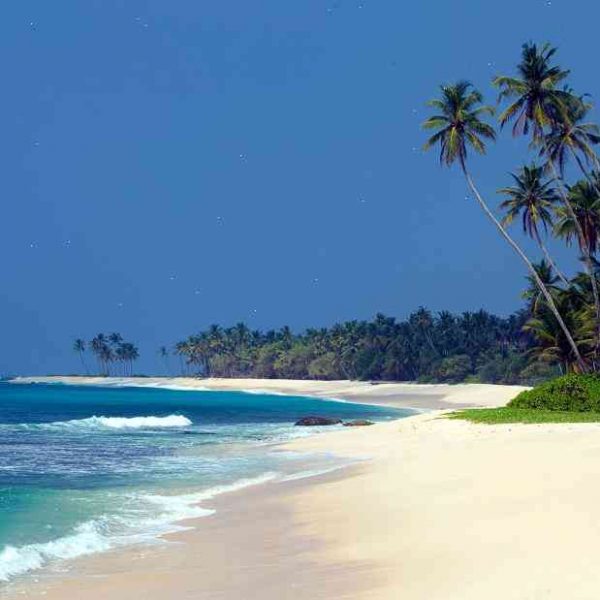 Sri Lanka opens land border to international travellers