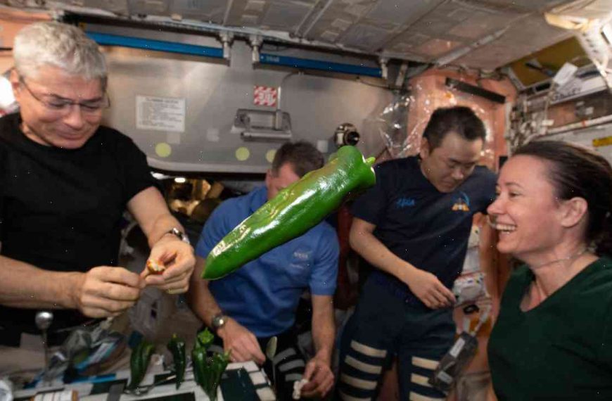Space experiment mixed fire with food to get sex toy taste