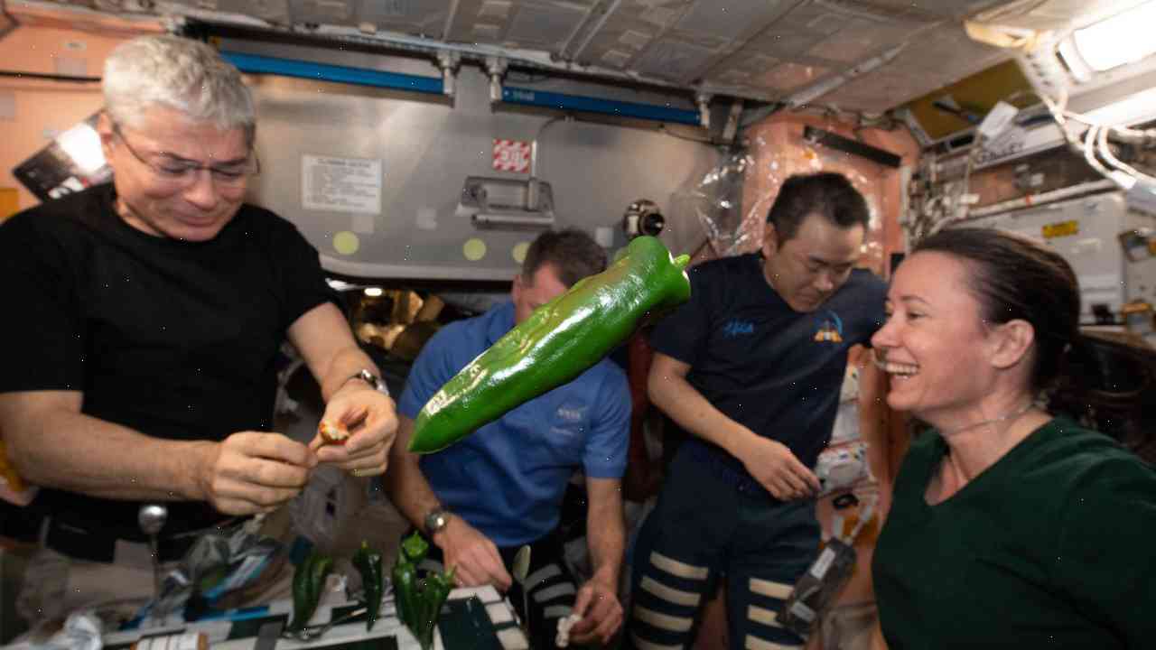 Space experiment mixed fire with food to get sex toy taste